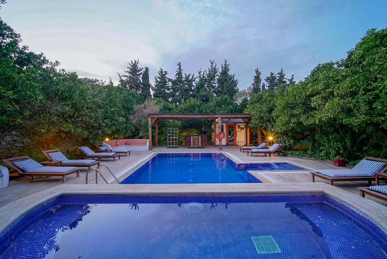 ** Hotel Olive Farm Of Datca Guesthouse (Adults Only) Turkey