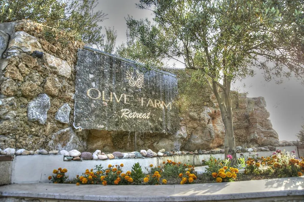 ** Hotel Olive Farm Of Datca Guesthouse (Adults Only) Turkey