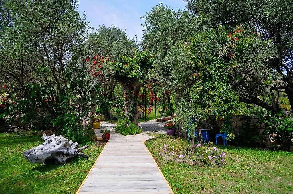 Olive Farm Of Datca Guesthouse (Adults Only) 2*,