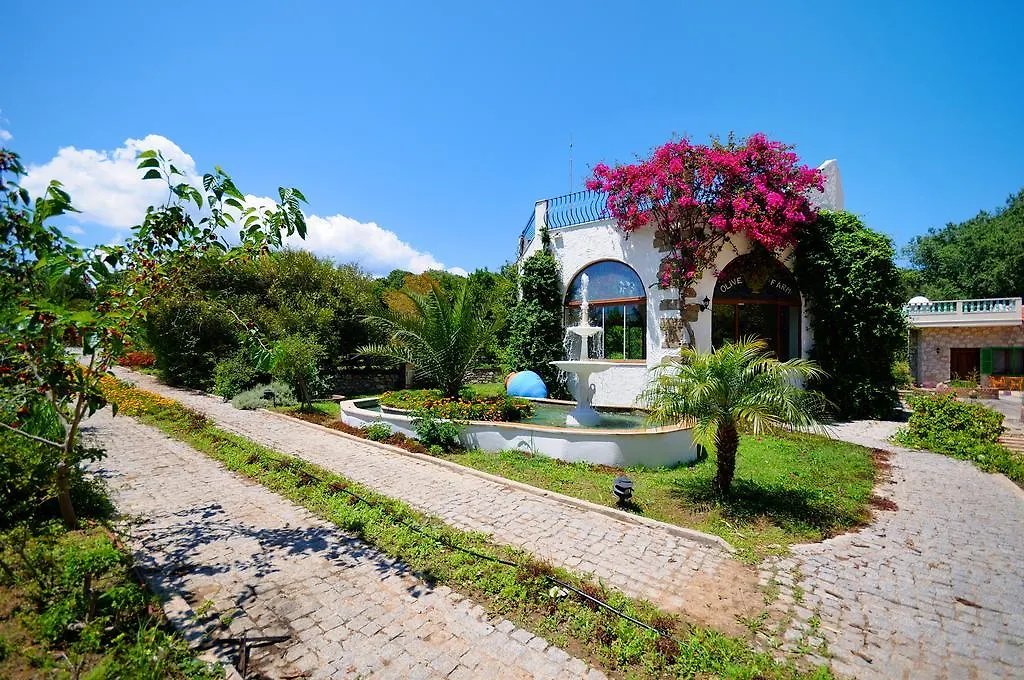 ** Hotel Olive Farm Of Datca Guesthouse (Adults Only) Turkey