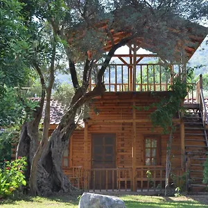 Kizilbuk Ahsap Evleri Tatil parkı
