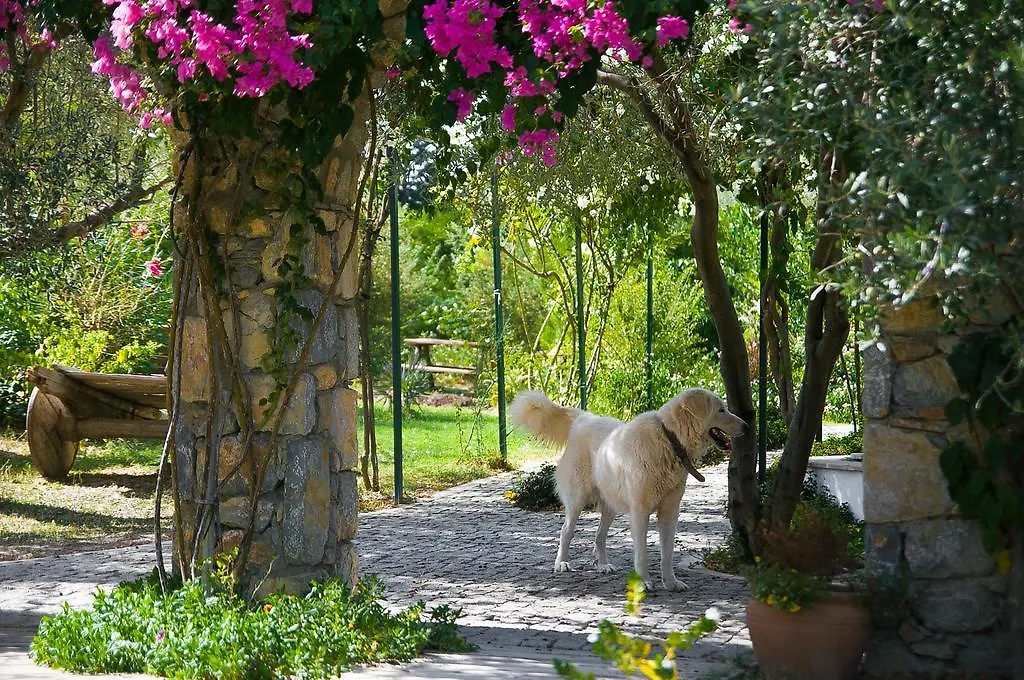 Olive Farm Of Datca Guesthouse (Adults Only) Hotel