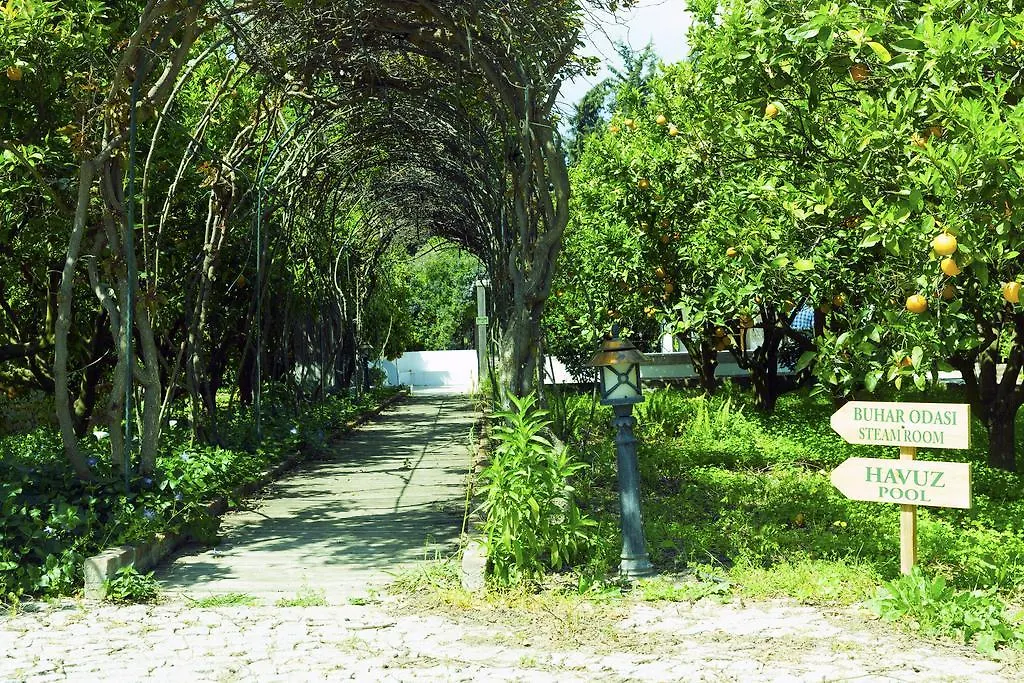 Hotel Olive Farm Of Datca Guesthouse (Adults Only)
