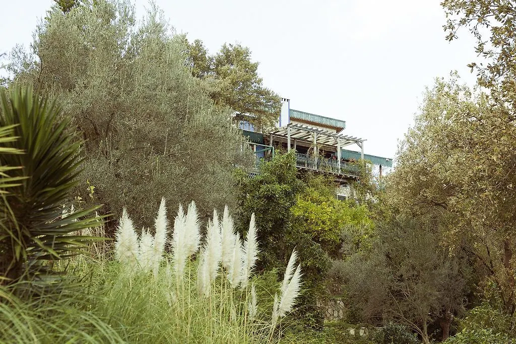 Olive Farm Of Datca Guesthouse (Adults Only) 2*,  Turkey