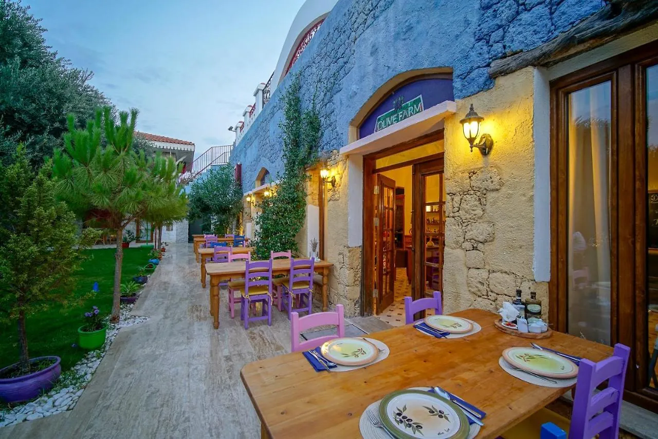 Olive Farm Of Datca Guesthouse (Adults Only) 2*,