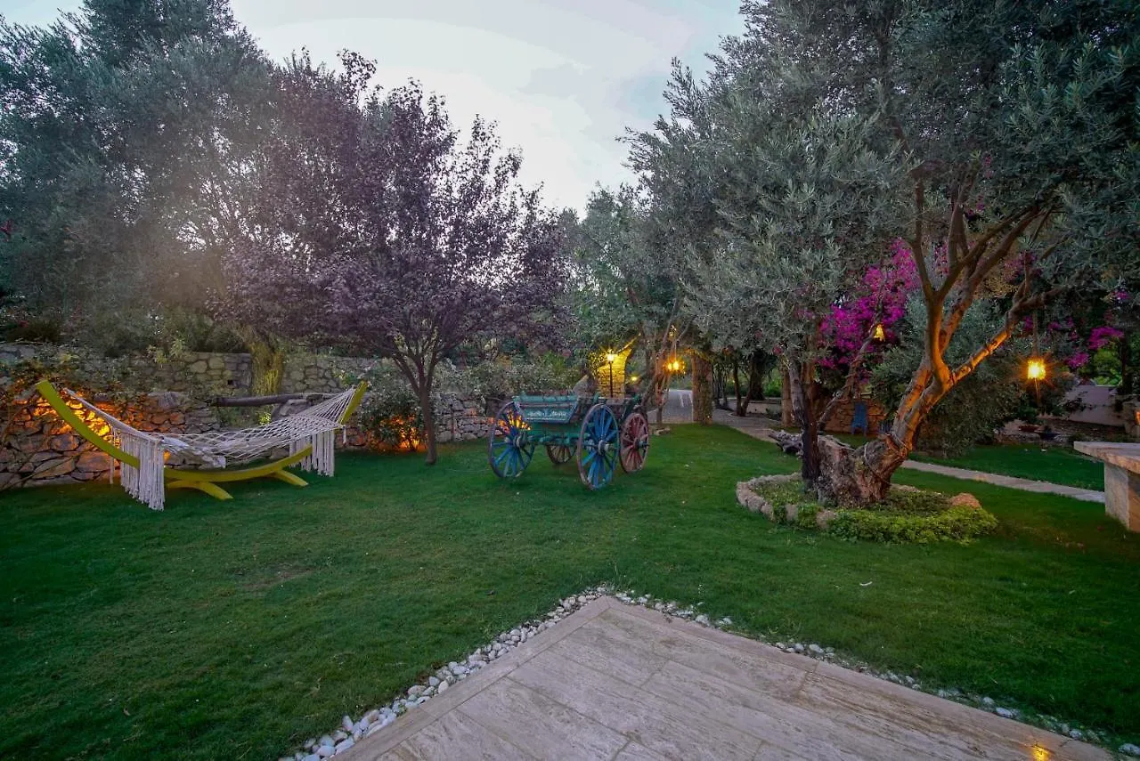 Olive Farm Of Datca Guesthouse (Adults Only) 2*,  Turkey