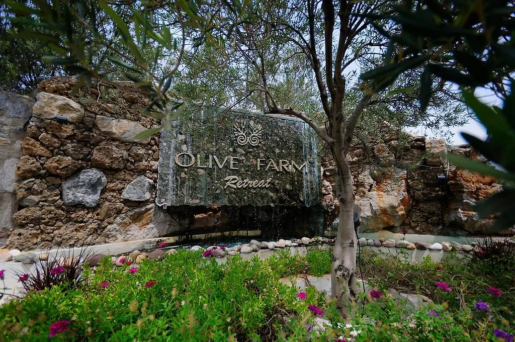 Olive Farm Of Datca Guesthouse (Adults Only) Turkey