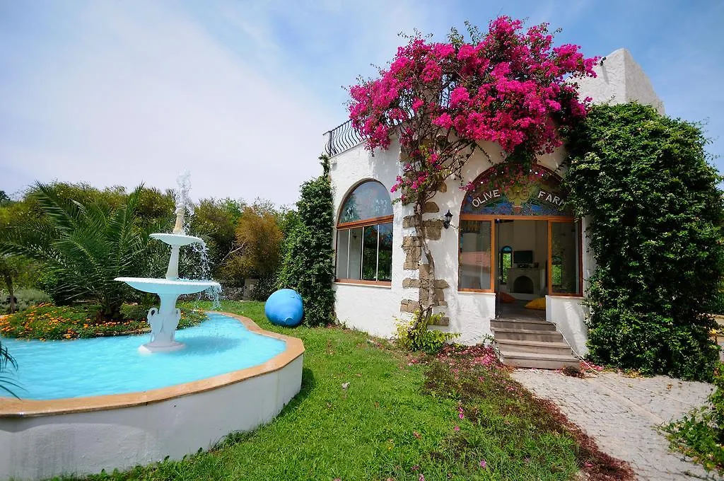 Olive Farm Of Datca Guesthouse (Adults Only) Hotel