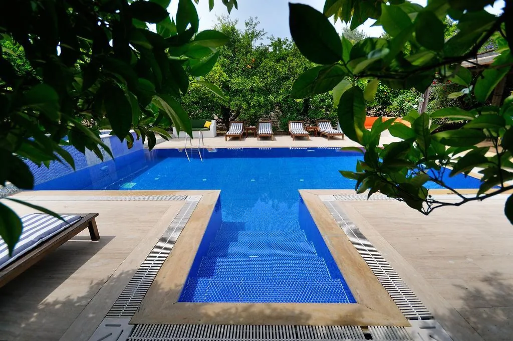 Hotel Olive Farm Of Datca Guesthouse (Adults Only)