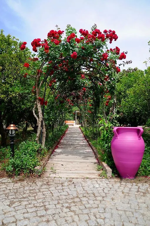 Olive Farm Of Datca Guesthouse (Adults Only)