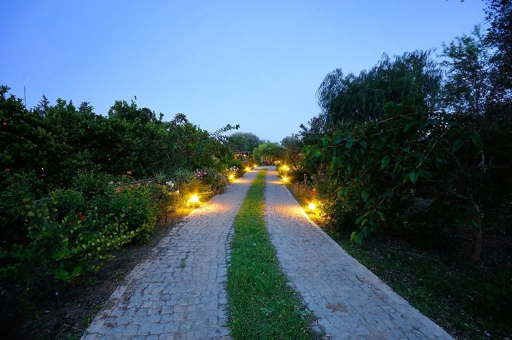 Olive Farm Of Datca Guesthouse (Adults Only) Turkey