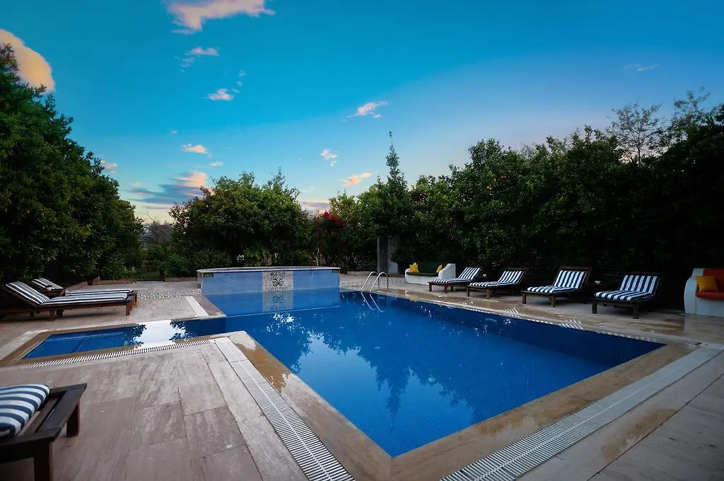 Olive Farm Of Datca Guesthouse (Adults Only) Turkey