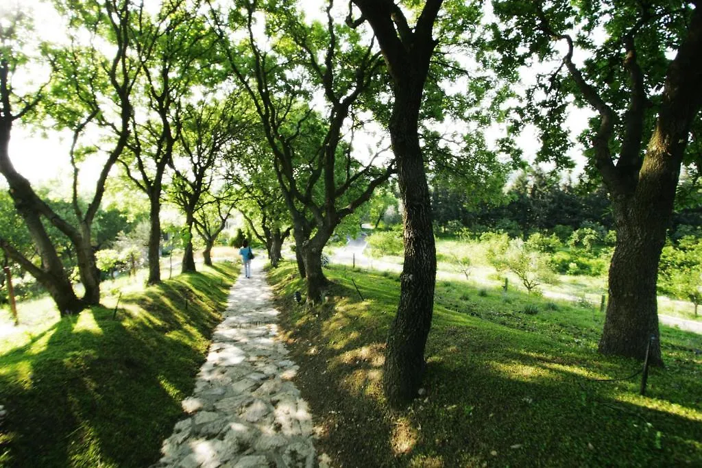 Olive Farm Of Datca Guesthouse (Adults Only)