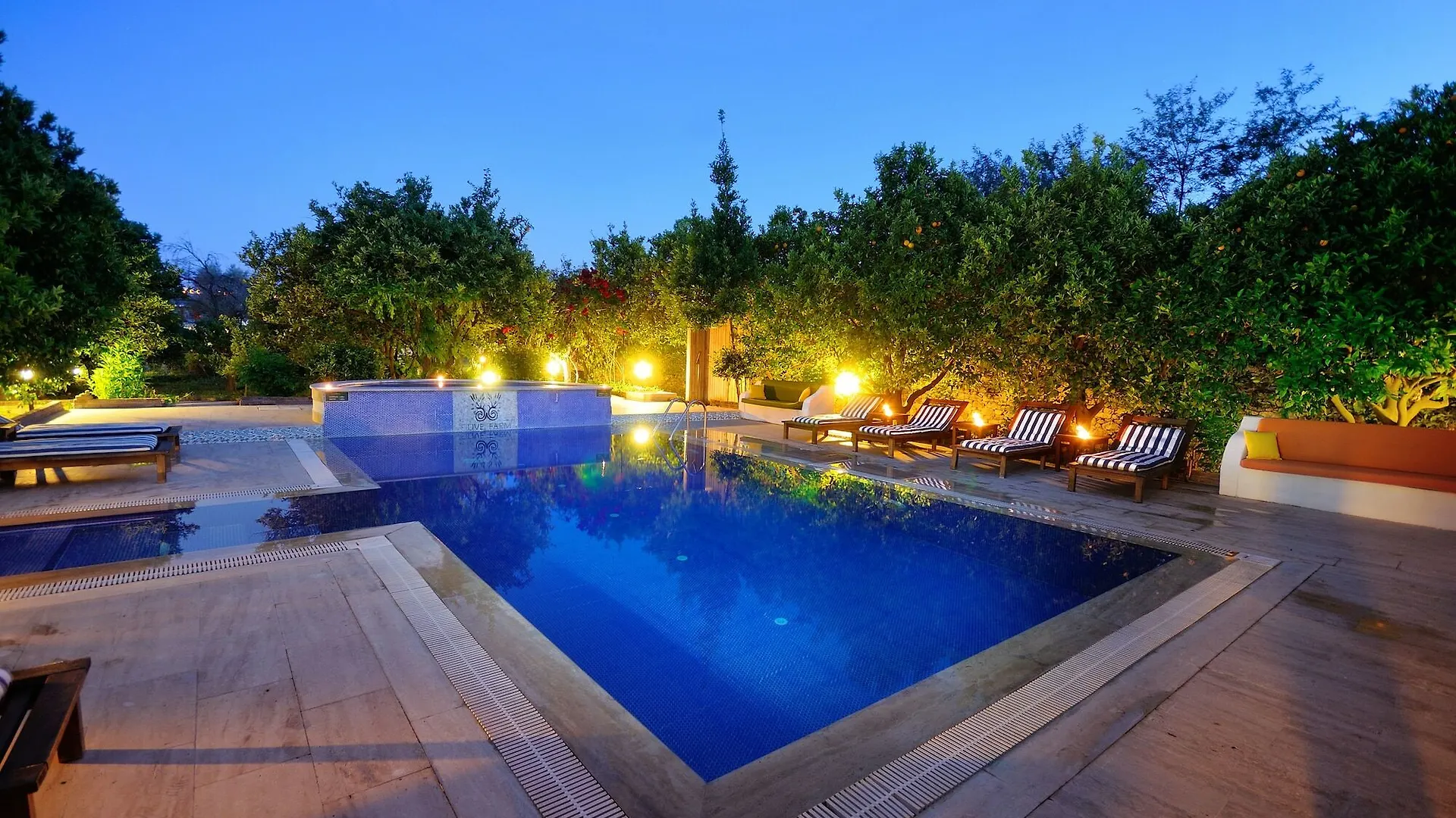 Olive Farm Of Datca Guesthouse (Adults Only) Turkey